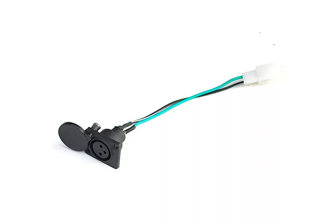 2026_06_19_1456018