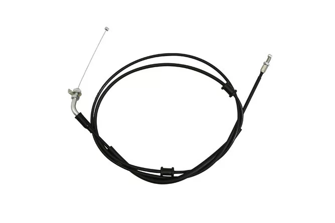 2026_06_19_1504363
